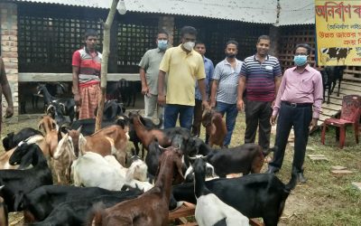 শুভ উদ্বোধন “অনির্বাণ কপোতাক্ষ ফার্ম”